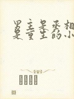 男主是丞相女主是重生的小说