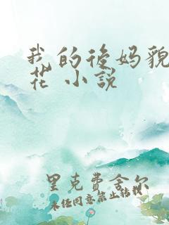 我的后妈貌美如花 小说