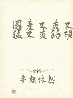 国产又爽又粗又猛又爽的视频