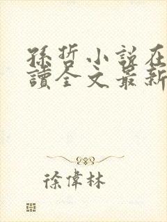 孙哲小说在线阅读全文最新