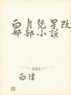 白月梵星改编自哪部小说