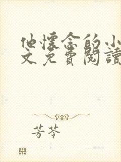 他怀念的小说全文免费阅读