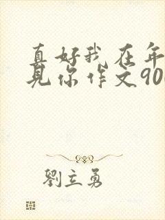 真好我在年少遇见你作文900字