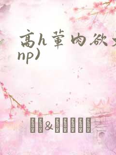 高h荤肉欲文(np)