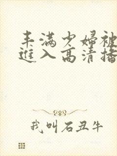 丰满少妇被猛烈进入高清播放软件