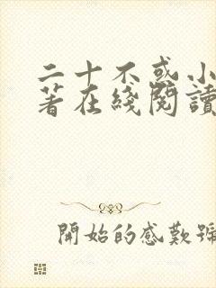 二十不惑小说原著在线阅读