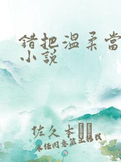 错把温柔当情深小说