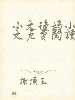 小文后妈小说全文免费阅读最新章节