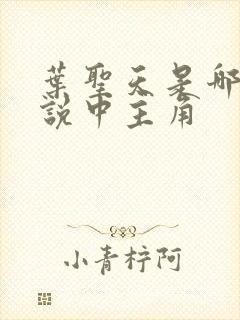 叶圣天是哪本小说中主角