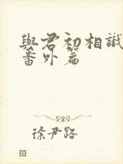 与君初相识小说番外篇