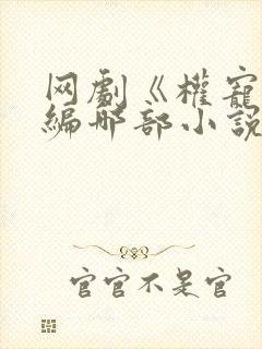 网剧《权宠》改编哪部小说了