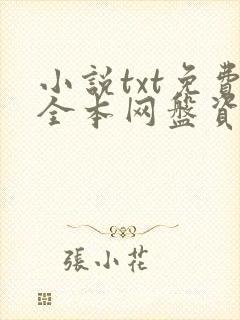 小说txt免费全本网盘资源