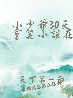 小少爷30天后会笑小说在线阅读