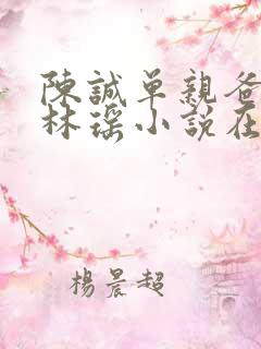 陈诚单亲爸爸,林瑶小说在线阅读