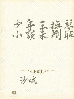 少年王抚琴的人小说未删版