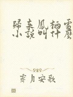 归来凤栖处原著小说叫什么名字