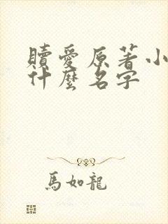 赎爱原著小说叫什么名字