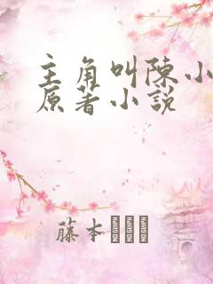 主角叫陈小贰的原著小说
