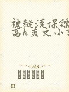 被糙汉保镖c哭高h爽文小说