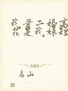 我爸二婚高冷校花是我妹短剧后续