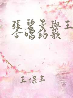 张碧晨与王赫野合唱的歌