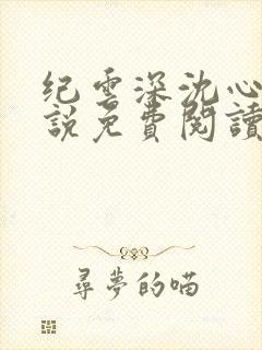 纪云深沈心瑶小说免费阅读最新章节