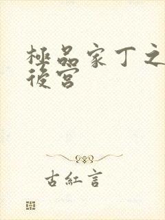 极品家丁之风流后宫