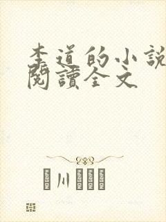 李道的小说免费阅读全文