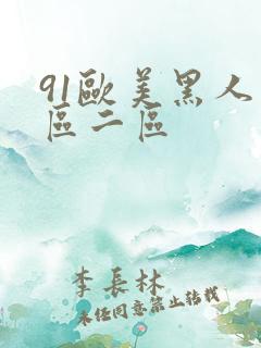 91欧美黑人一区二区