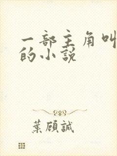 一部主角叫叶楚的小说