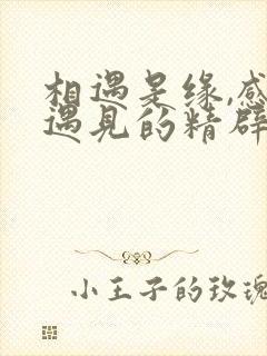 相遇是缘,感恩遇见的精辟唯美短句