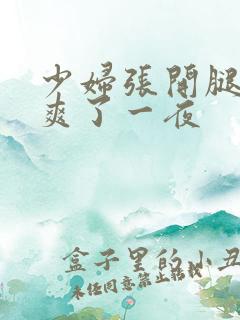 少妇张开腿让我爽了一夜