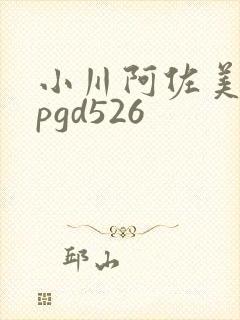 小川阿佐美丝袜pgd526