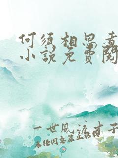 何须相思煮余年小说免费阅读