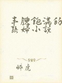 丰腴饱满的极品熟妇小说