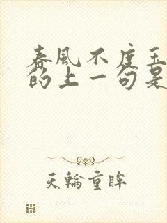 春风不度玉门关的上一句是什么?