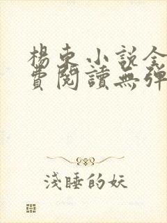 杨东小说全文免费阅读无弹窗