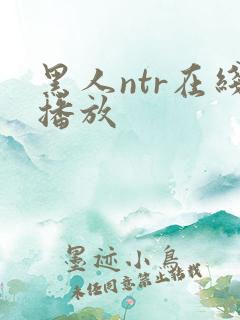黑人ntr在线播放