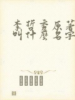 李哲秀原著小说叫什么名字啊