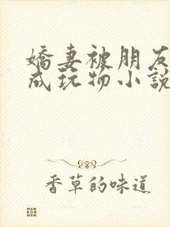 娇妻被朋友调教成玩物小说