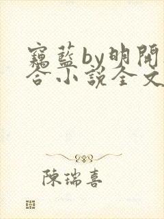 窃蓝by明开夜合小说全文免费阅读