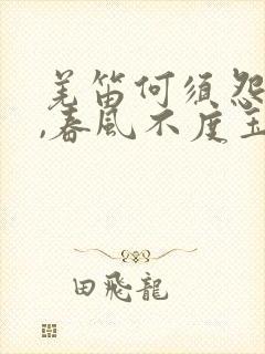 羌笛何须怨杨柳,春风不度玉门关什么意思