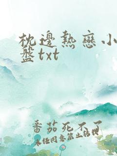 枕边热恋小说网盘txt