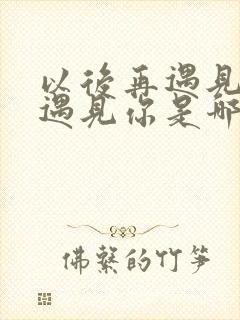 以后再遇见你再遇见你是哪首歌里面的歌词