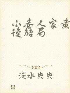 小巷人家黄玲最后结局