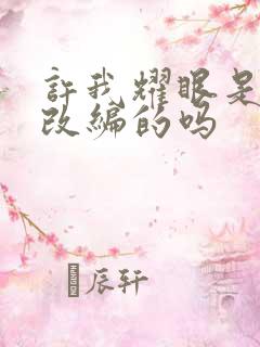 许我耀眼是小说改编的吗