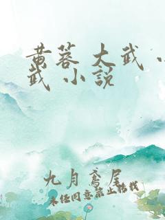 黄蓉 大武 小武 小说