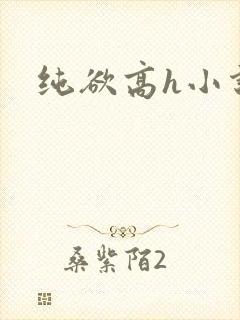 纯欲高h小说