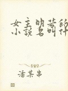 女主明若的穿越小说名叫什么