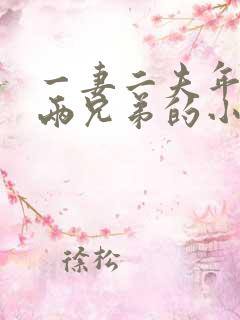 一妻二夫年代文两兄弟的小说